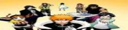 Bleach: Reign of the Fallen