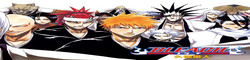 Bleach World Order