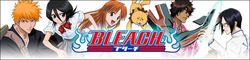 Bleach Ultimate