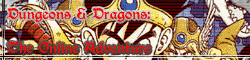 Dungeons & Dragons: The Online Adventure