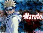 Naruto The Shinobe Warrior