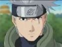 Naruto Fortis Chronicles