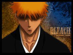 Bleach:Awakening Of  The Vaizards