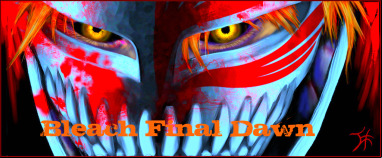 Bleach Final Dawn