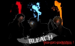 Bleach: The New Beginning